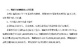 庆阳庆阳的要账公司在催收过程中的策略和技巧有哪些？